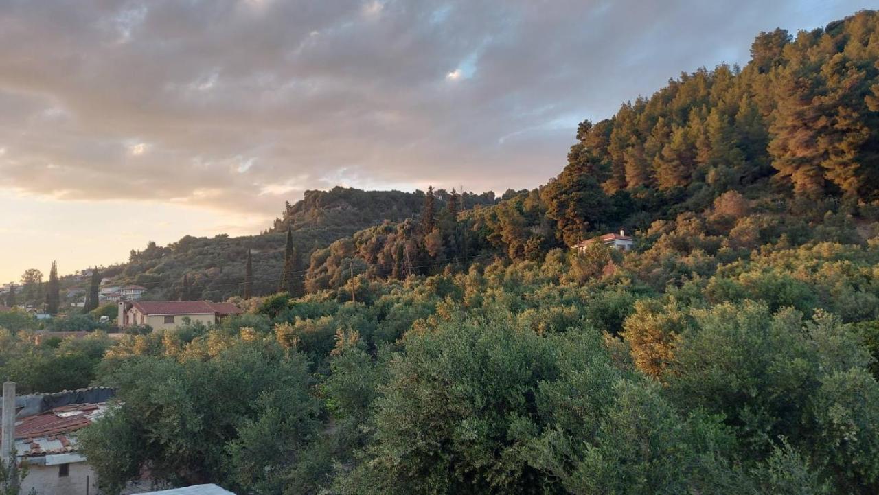 Homonatura. Sense Of Native Living. Pyrgos  Exterior photo